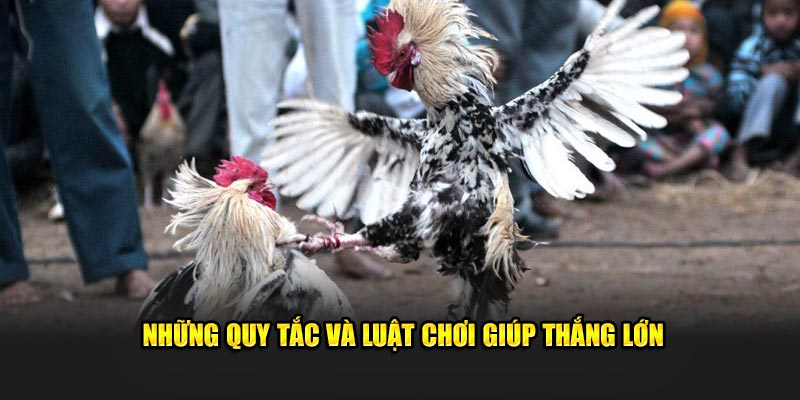 Những quy tắc và luật chơi giúp thắng lớn