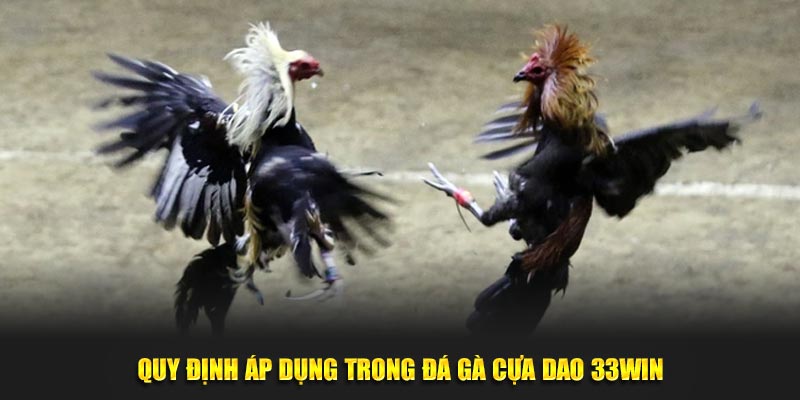 Quy định áp dụng trong đá gà cựa dao 33WIN