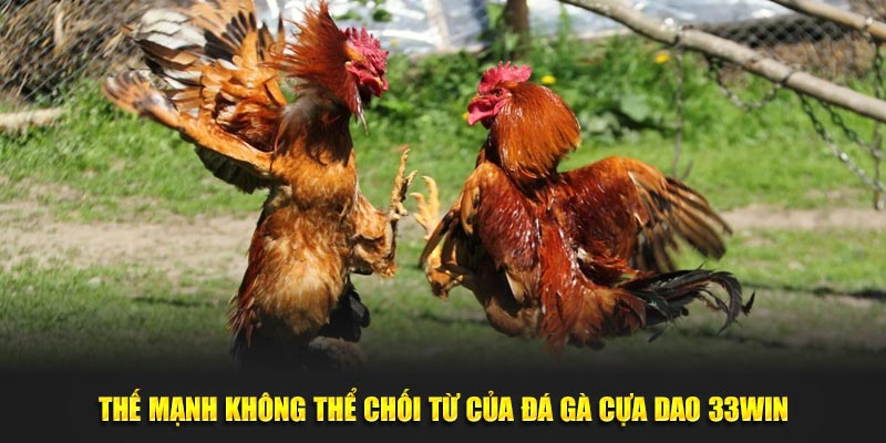 Thế mạnh không thể chối từ của đá gà cựa dao 33WIN