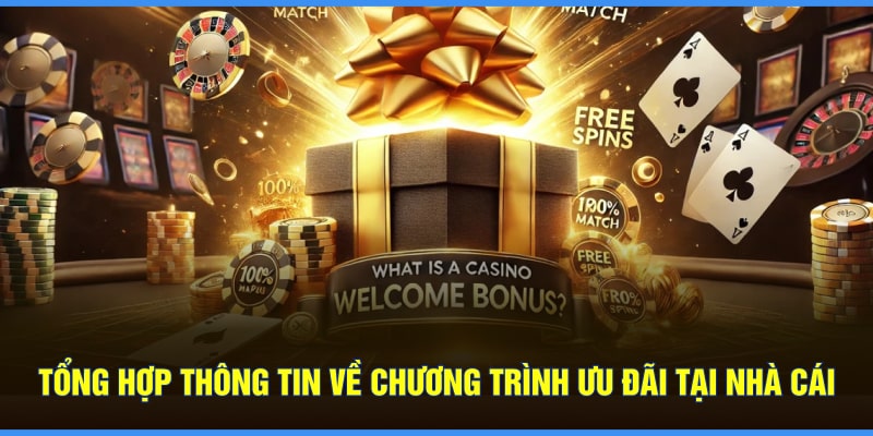 Thông tin cơ bản về chương trình ưu đãi tại nhà cái