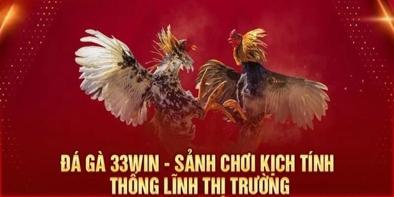 Ưu điểm vượt bậc chỉ có tại sân chơi đá gà 33WIN